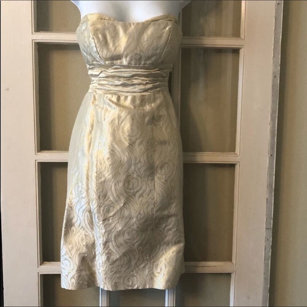 Nicole Miller Strapless Dress